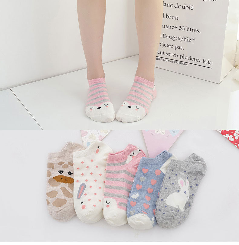 Set of 5 Pairs Women&