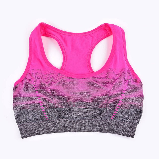 Gradient Sports Bra - Gymratslegacy