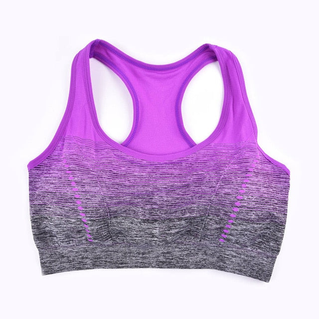 Gradient Sports Bra - Gymratslegacy